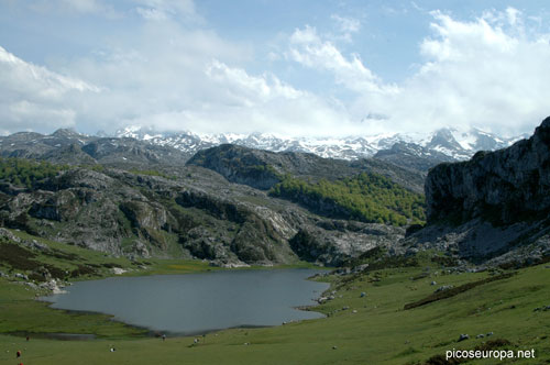 Lago de la Ercina, Lagos de Covadonga, Picos de Europa, Asturias