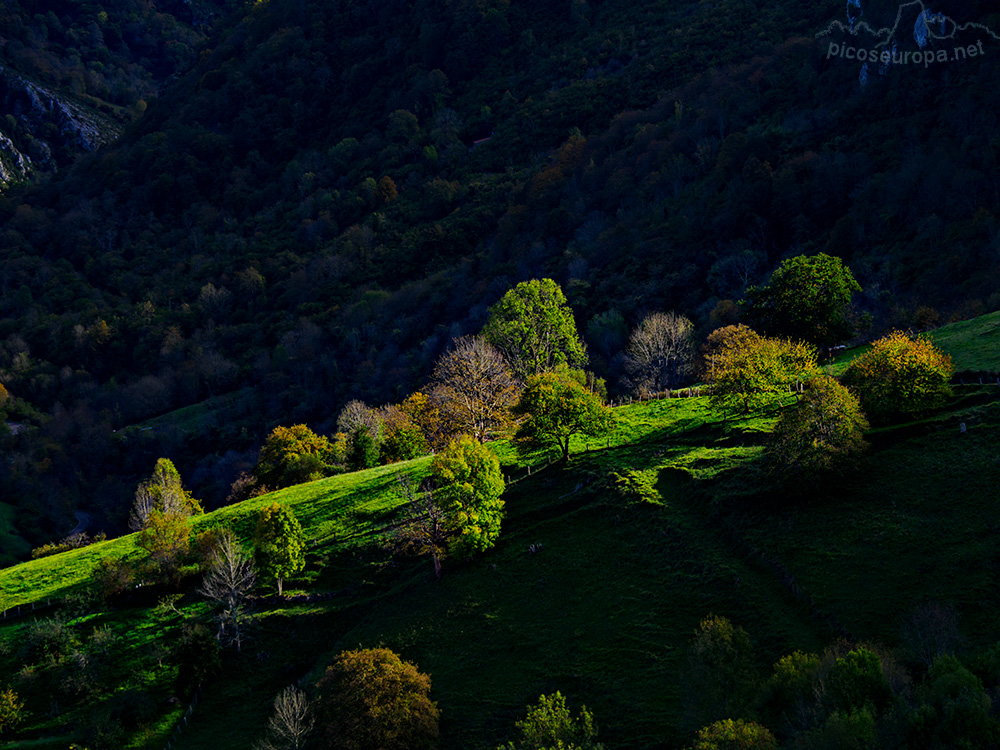 Foto: En el valle donde se ubica Argolibio, Asturias