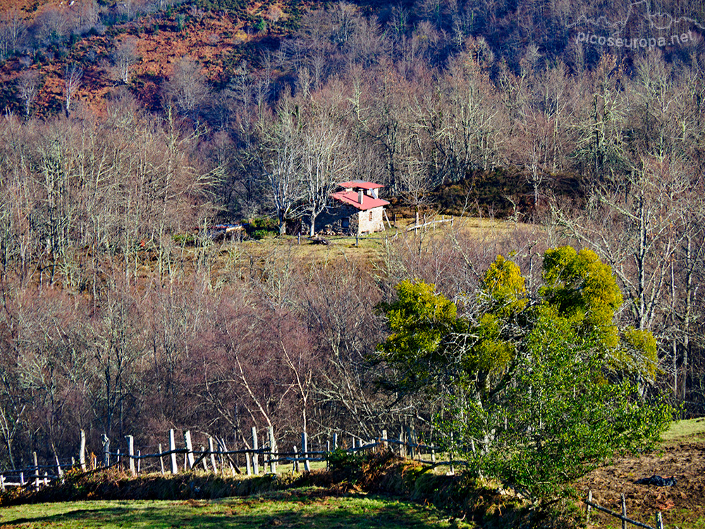 Foto: Mirador de Las Bedules, Parque Natural de Ponga, Asturias