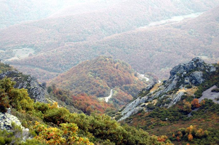 Las vistas desde el inicio del camino son espectaculares sobre los bosques del Valle de Valdeón, sobre todo en otoño