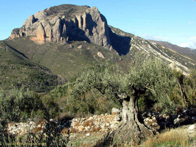 Peña Rueba, Murillo de Gállego, Pre Pirineos de Aragón, España