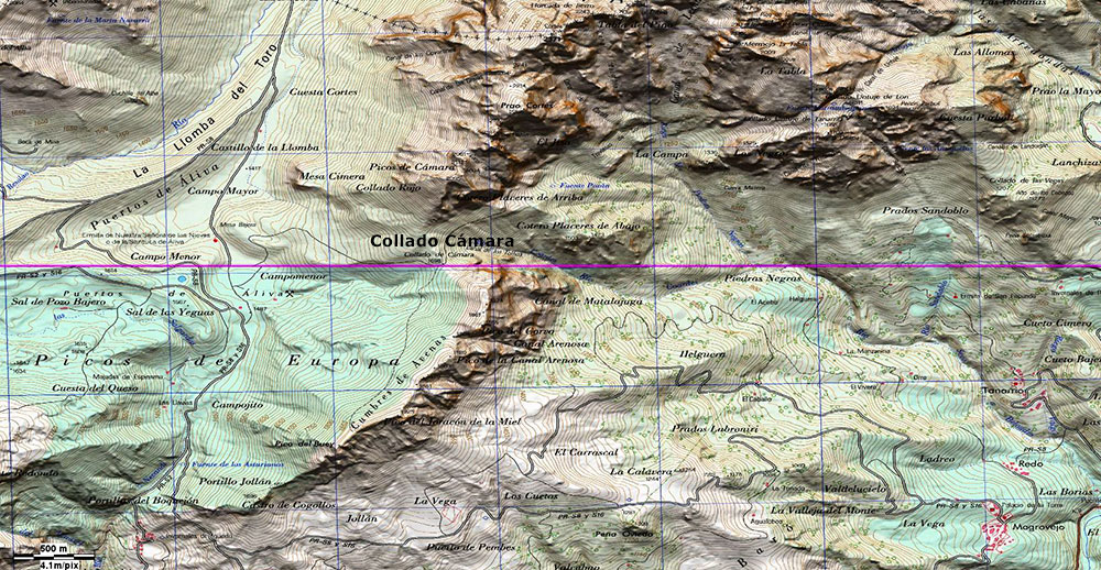 Plano del Collado de Camara, Aliva, Picos de Europa, Cantabria