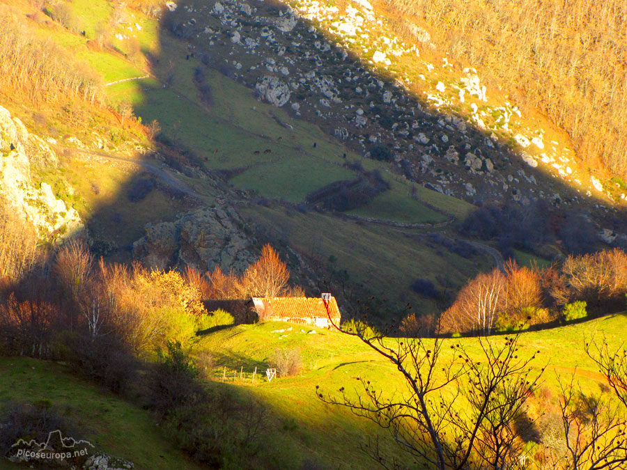Foto: Desde el Collado de Sierra Lamoa, Cucayo, La Liebana, Cantabria