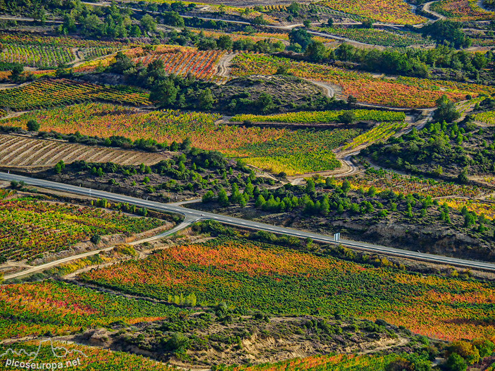 Otoño en la Rioja Alavesa desde el Puerto de Herrera