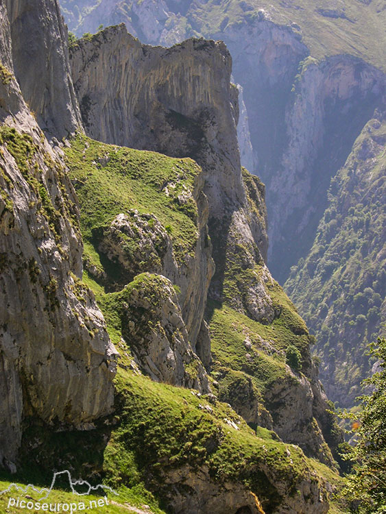 Canal de Trea, Desfiladero del ro Cares, Parque Nacional de Picos de Europa