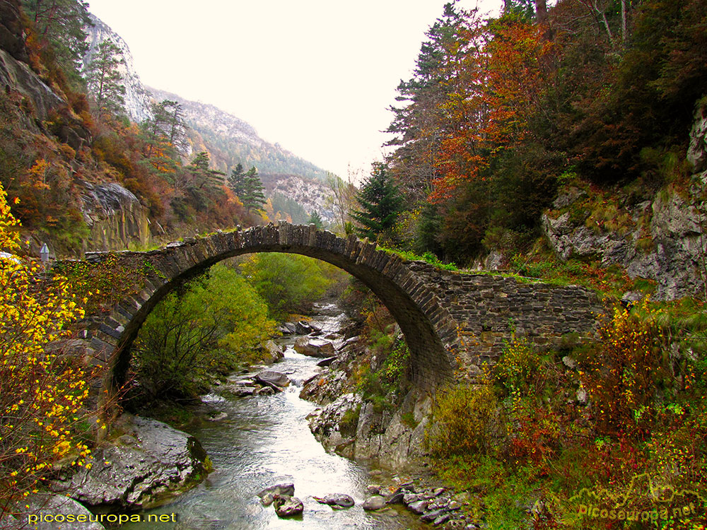 Valle de Anso, sendero ortitológico, Pirineos Occidentales de Huesca