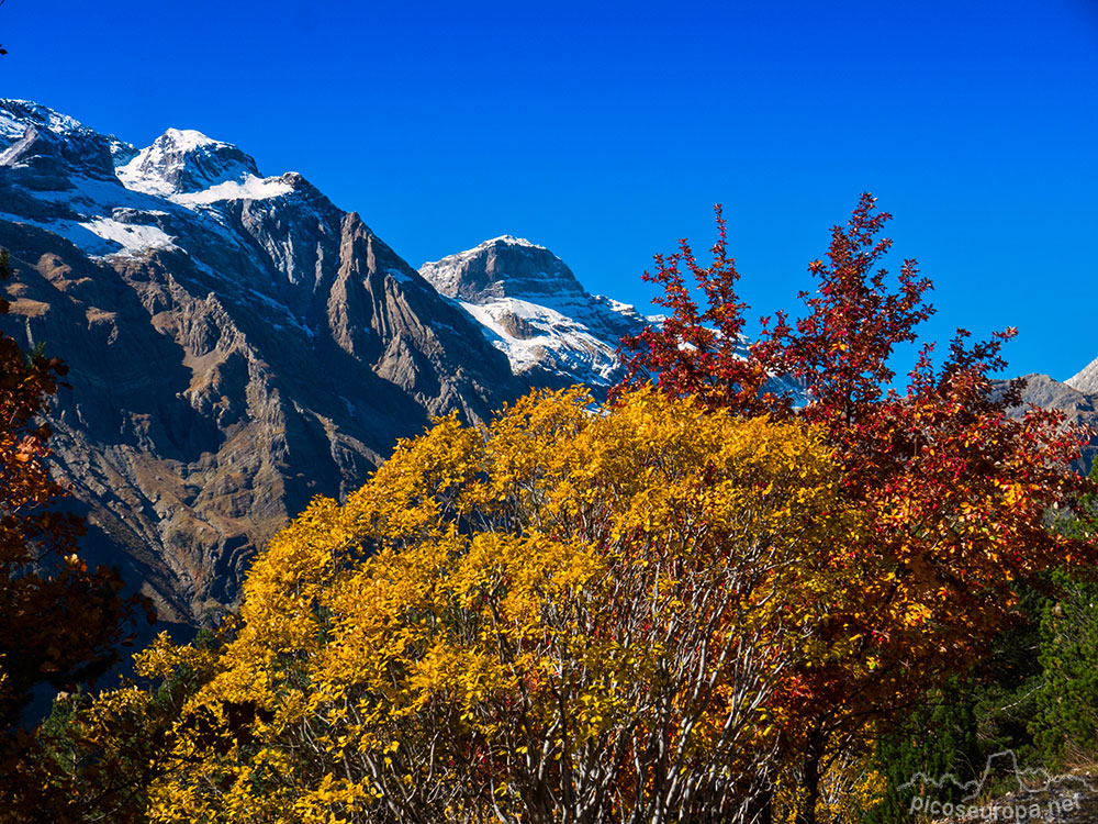 Foto: Monte Perdido y el Cilindro, Valle de Pineta, Parque Nacional de Ordesa y Monte Perdido