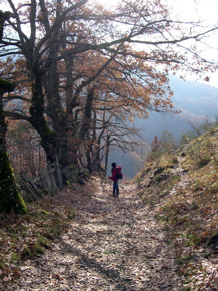 Senda del Arcediano entre Soto de Sajambre y Amieva