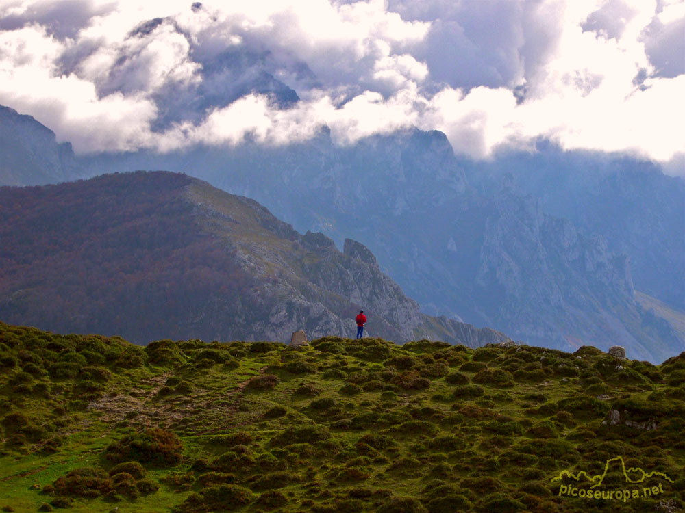 Picos de Europa desde el Collado de Posadoiro, Sierra de Portudera, Cabrales, Asturias