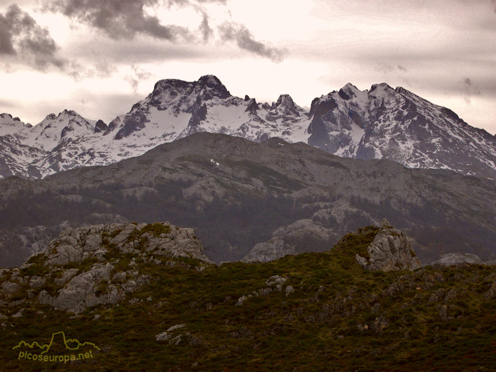 Picos de Europa desde el Collado de Posadoiro en la Sierra de Portudera
