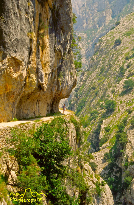 Foto: La ruta del Cares cerca ya de Cain, Picos de Europa.
