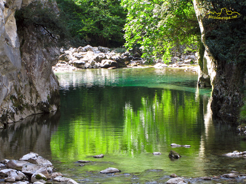 Foto: Un recodo del rio Cares, justo al lado del tunel que da acceso a Puente Poncebos, Picos de Europa.