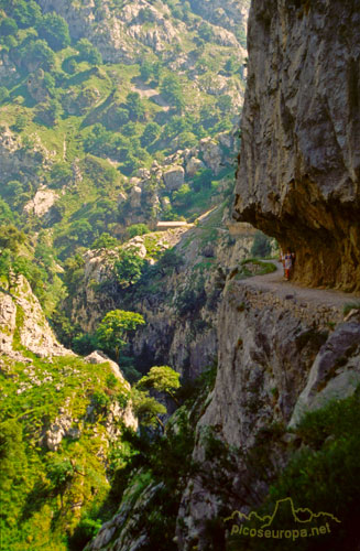 Foto: La ruta del ro Cares, un sendero entre Asturias y Len, Picos de Europa