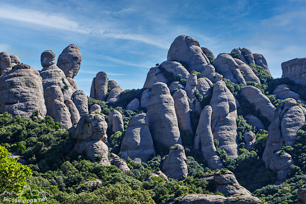 Foto: Agulles de Montserrat, Catalunya