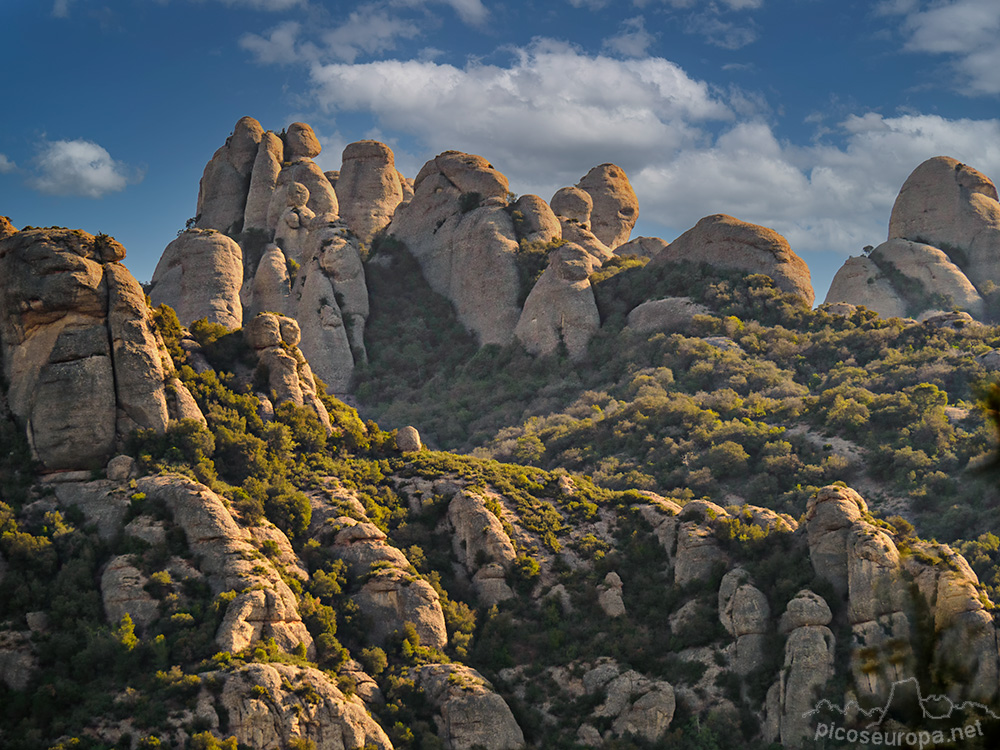 Agulles de Montserrat desde las proximidades del pueblos del Bruc, Barcelona, Catalunya.