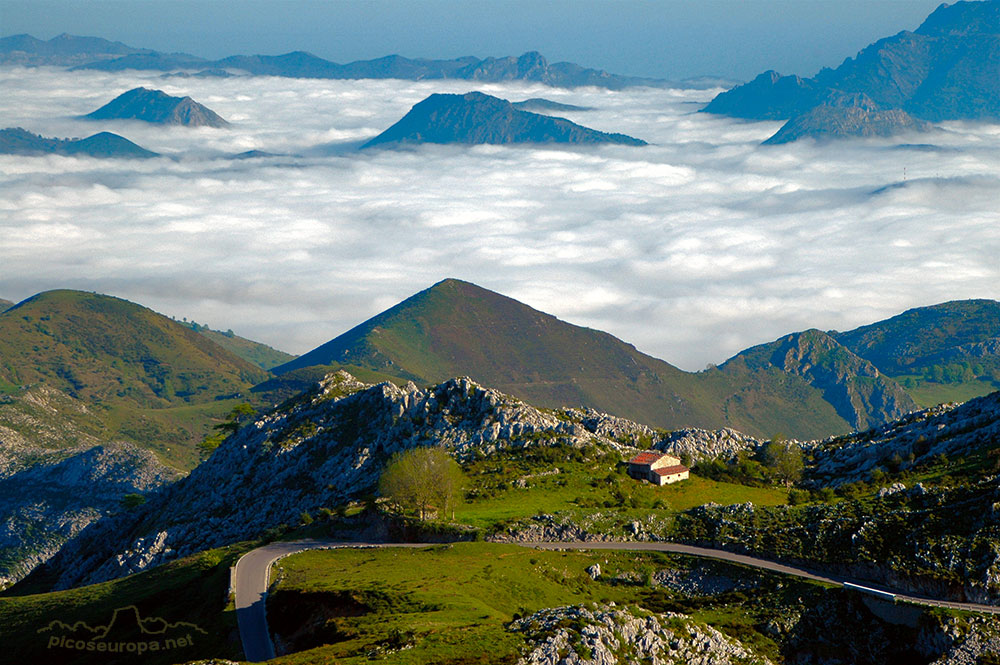 Foto: Carretera de subida a los Lagos de Covadonga, Macizo Occidental de Picos de Europa, Cangas de Onis, Asturias