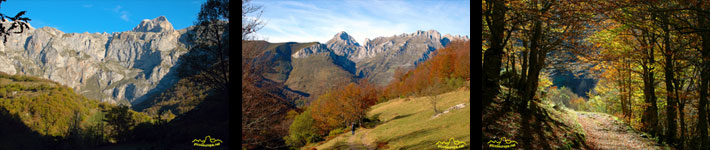 Bosques y praderas rodean el Macizo de los Picos de Europa