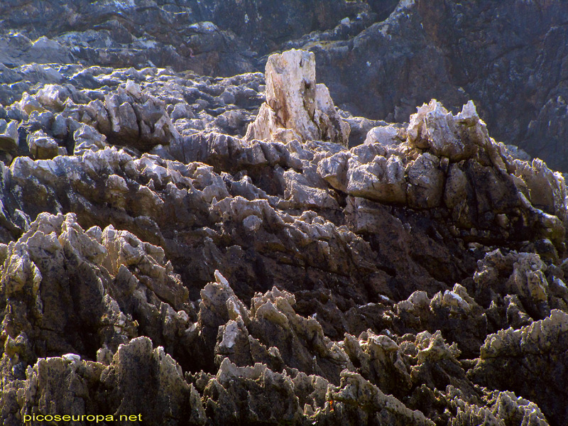 El mar se come la caliza de los acantilados dejando curiosas formaciones en su base, Costa de Asturias, Mar Cantabrico