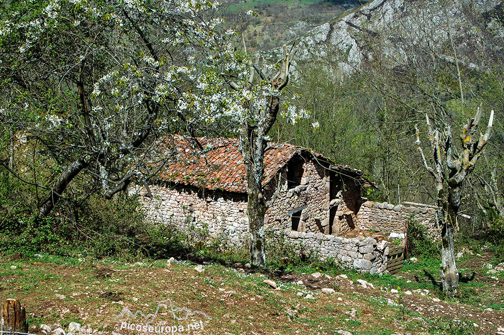 Majada de Peñalba, Covadonga, Asturias, Picos de Europa