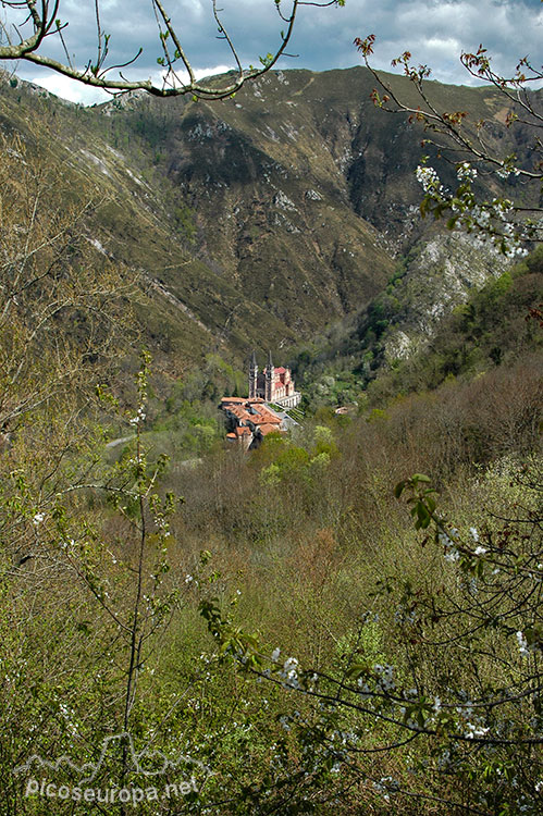 Majada de Peñalba, Covadonga, Asturias, Picos de Europa