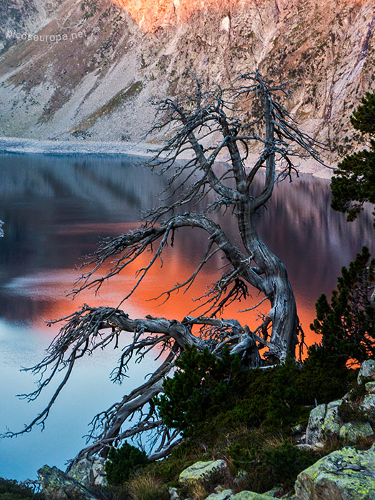 Lac Cap Long, Reserva Natural de Neouvielle, Pirineos, Francia