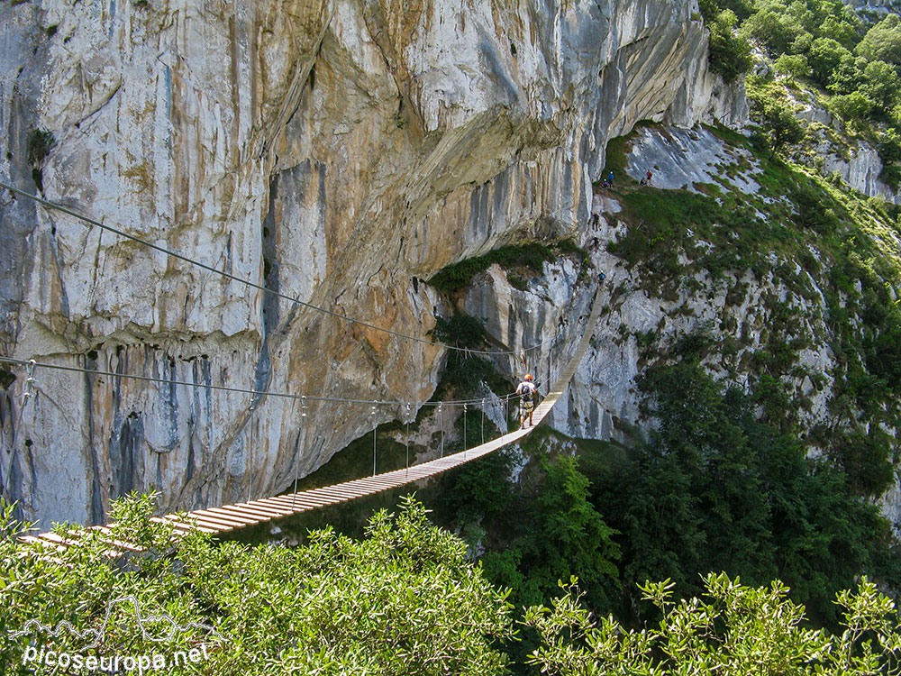 Ferrata de la Hermida. Picos de Europa, Cantabria, España