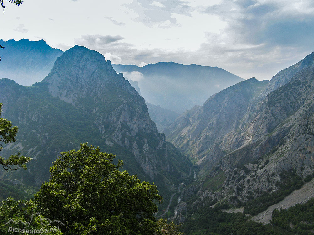 Vistas del Desfiladero de la Hermida desde la ferrata. Picos de Europa, Cantabria, España