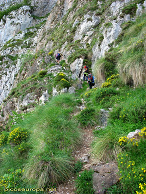 Rienda de Asotin, Cordiñanes, Picos de Europa, León