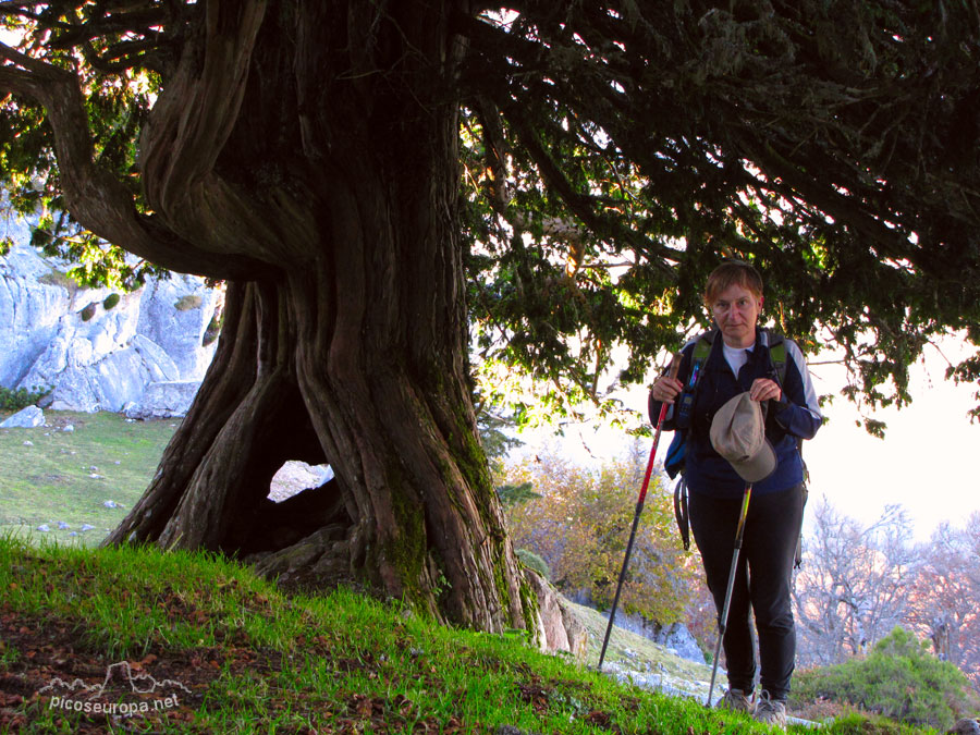 Foto: Braña de los Tejos, La Liebana, Cantabria