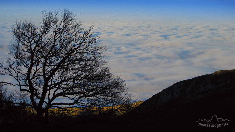 Foto: Braña de los Tejos, La Liebana, Cantabria