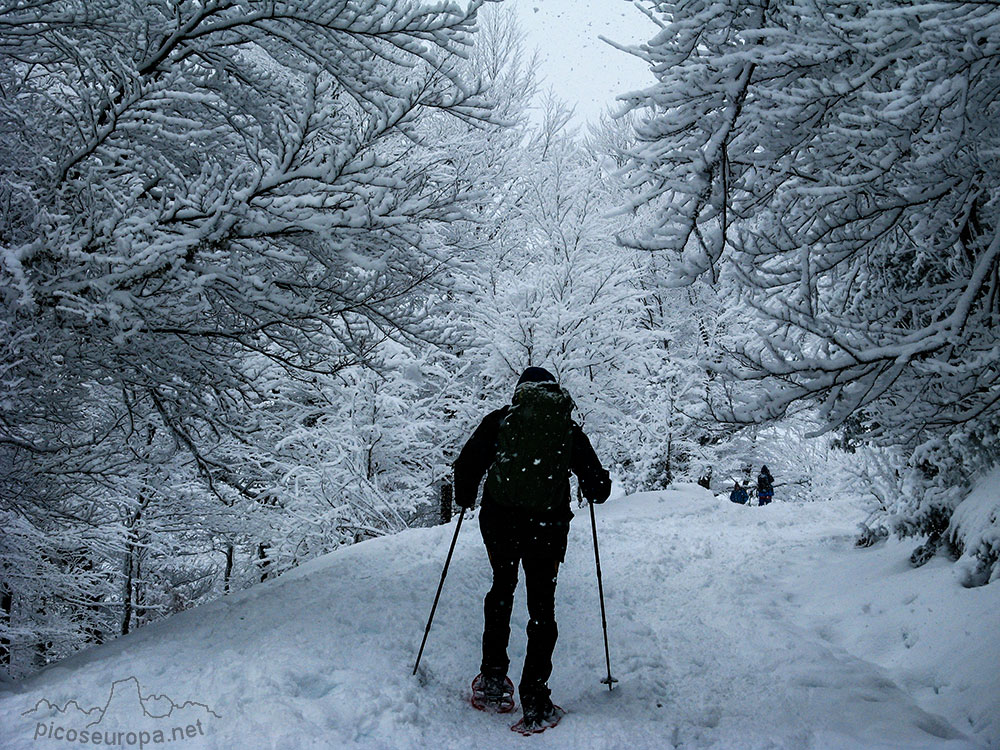 Foto: La Liebana, Cantabria, Picos de Europa