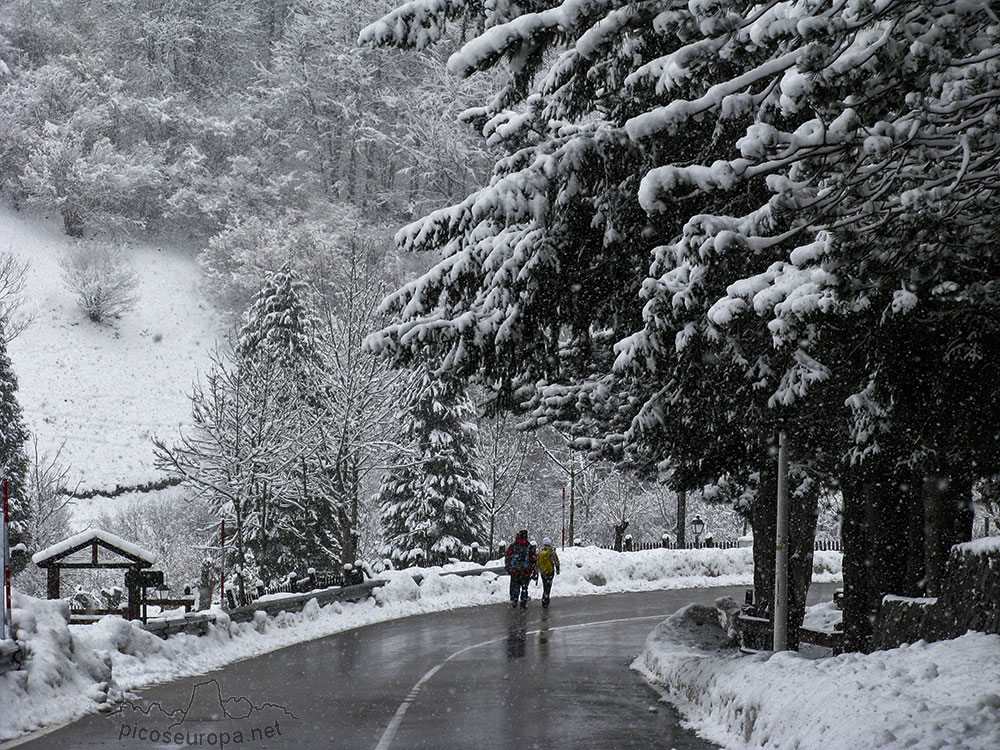 Junto al Parque de Fuente Dé, Picos de Europa, La Liebana, Cantabria