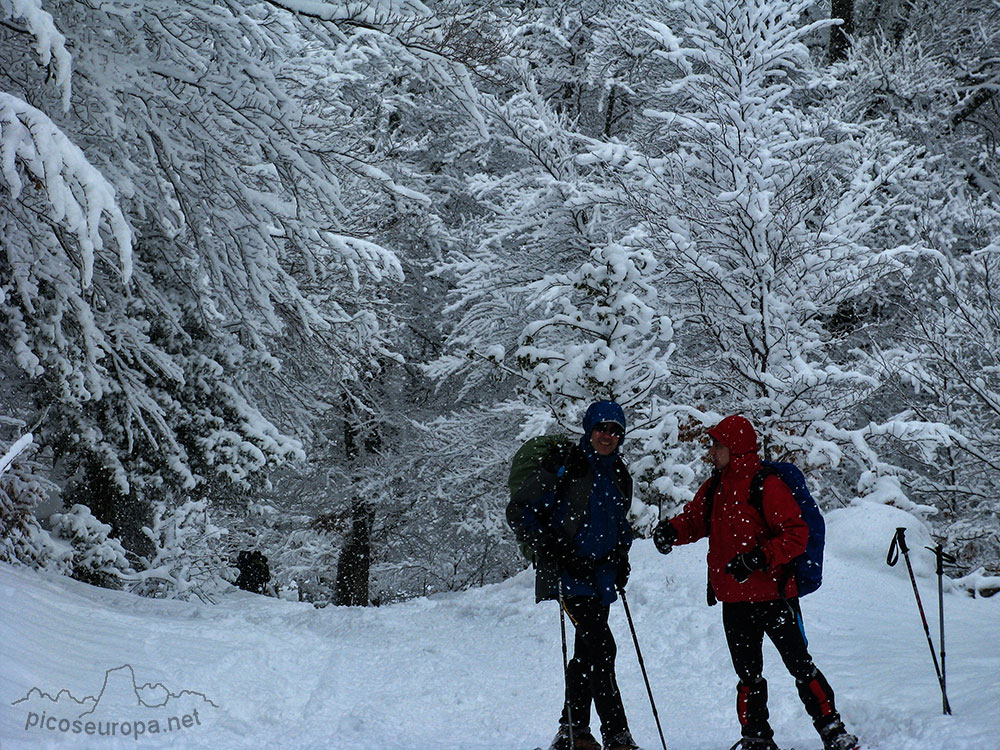 Ambiente invernal en la subida a Campodaves, todo esta recubierto de nieve, La Liebana, Cantabria