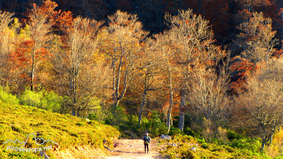 Foto: Parque Nacional de Picos de Europa