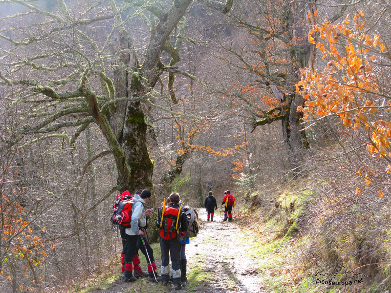 Foto: Uno de los tramos del camino entre Igüedri y Fuente De