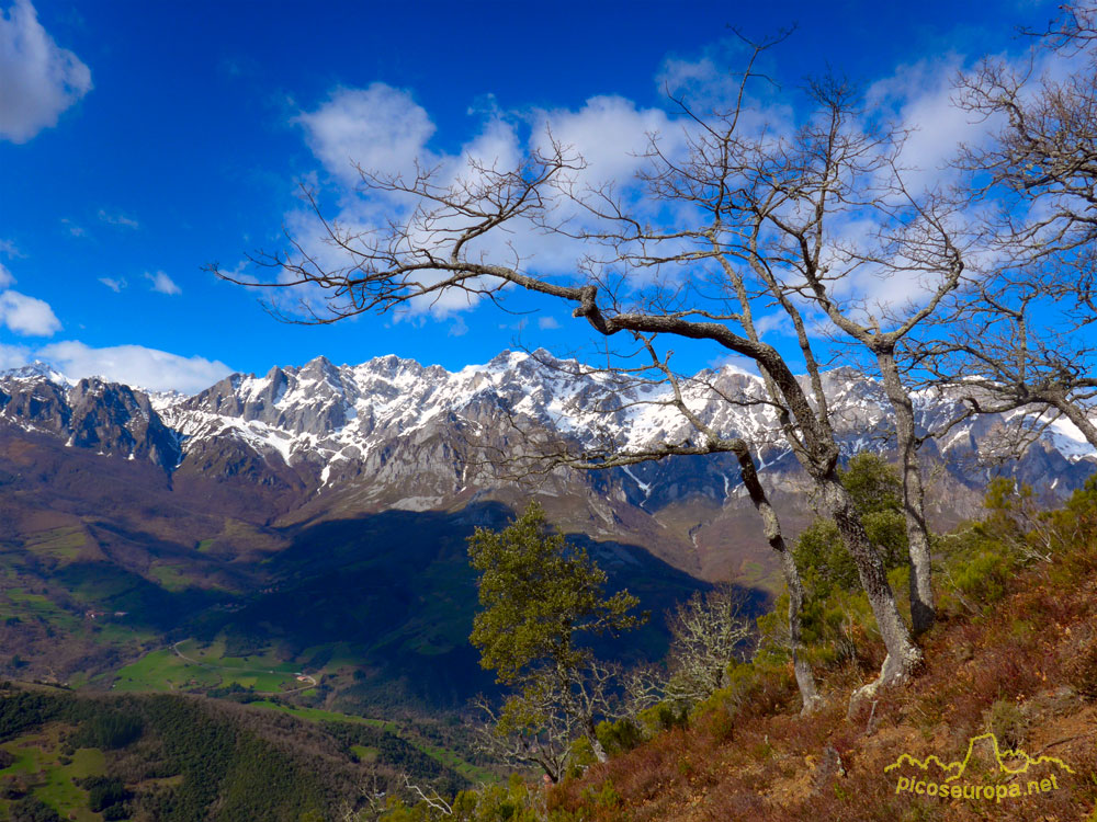 Foto: Macizo Oriental de Picos de Europa