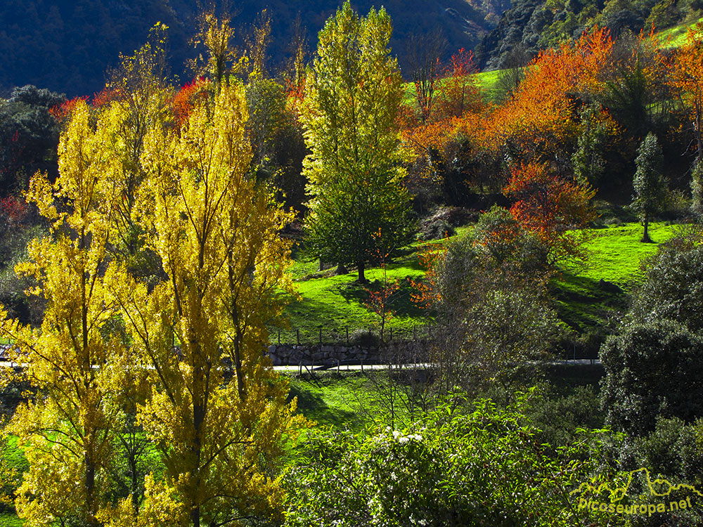 Entorno de Mogrovejo, La Liebana, Cantabria, Picos de Europa