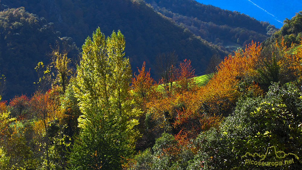 Ruta de Mogrovejo a Peña Oviedo, La Liebana, Cantabria, Picos de Europa, España