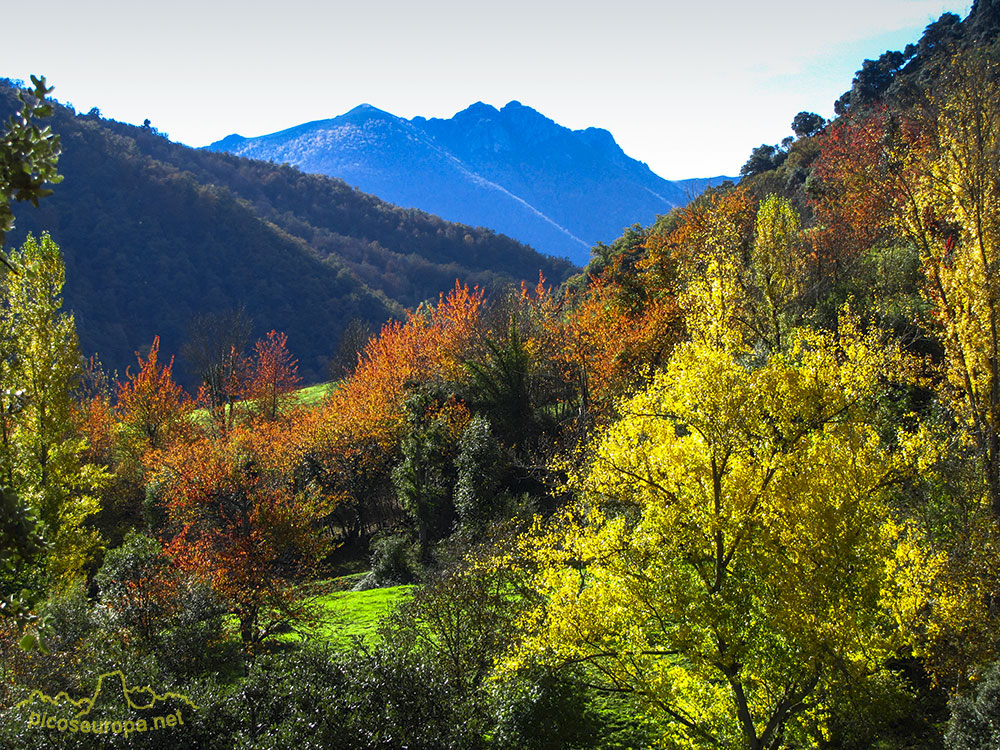 Esplendidas vistas desde el pueblo de Mogrovejo, La Liebana, Cantabria, Picos de Europa