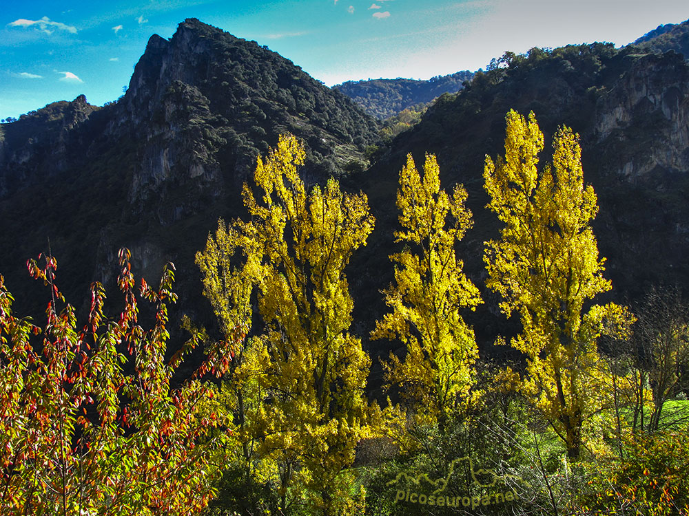 Ruta de Mogrovejo a Peña Oviedo, La Liebana, Cantabria, Picos de Europa, España