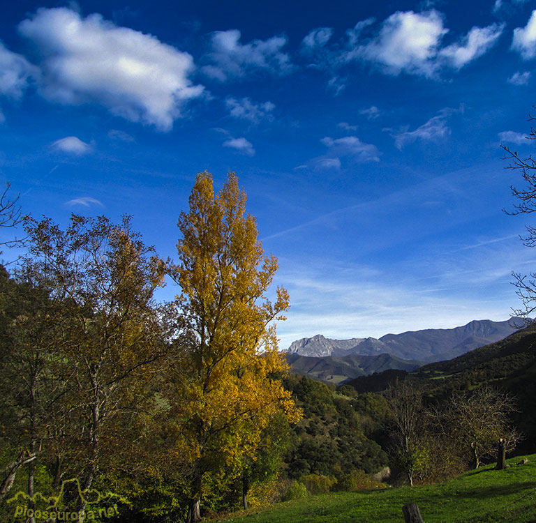 Ruta de Mogrovejo a Peña Oviedo, La Liebana, Cantabria, Picos de Europa, España