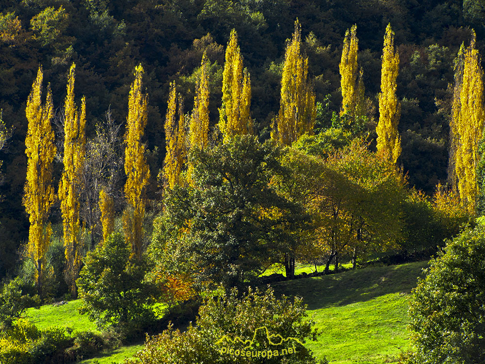 Alrededores de Mogrovejo, La Liebana, Cantabria, Picos de Europa