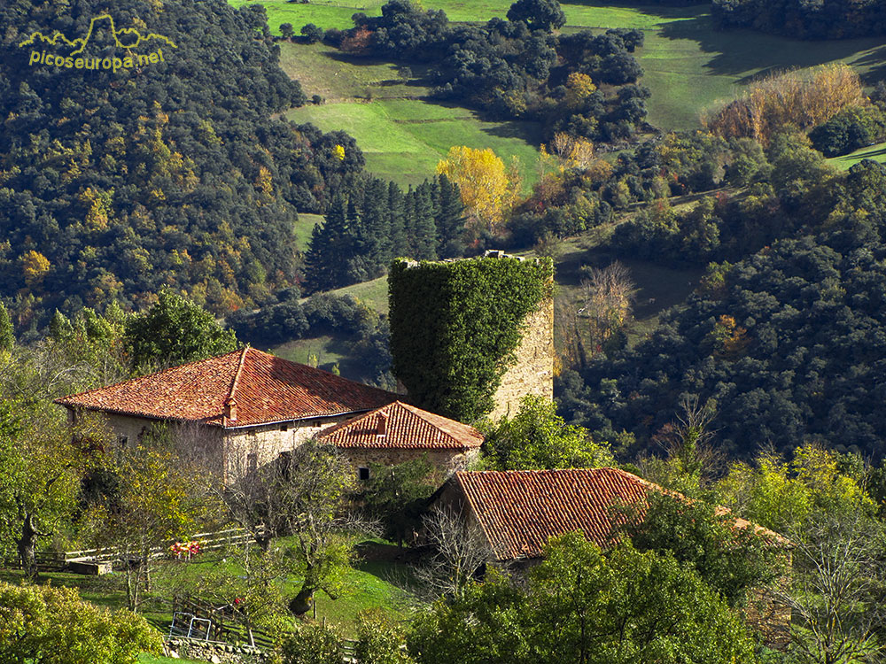 Torre de Mogrovejo, La Liebana, Cantabria, Picos de Europa