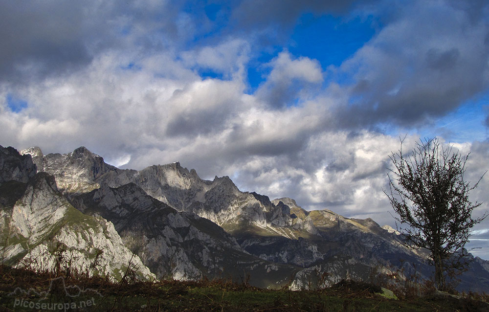 Ruta de Mogrovejo a Peña Oviedo, La Liebana, Cantabria, Picos de Europa, España