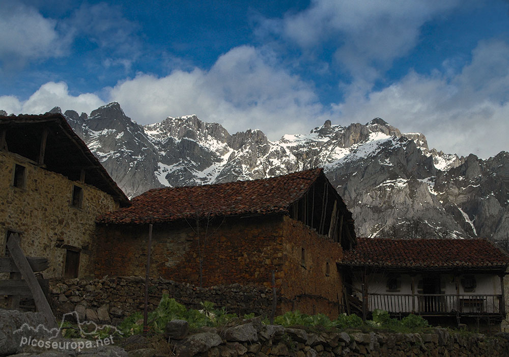 Mogrovejo, La Liébana, Cantabria