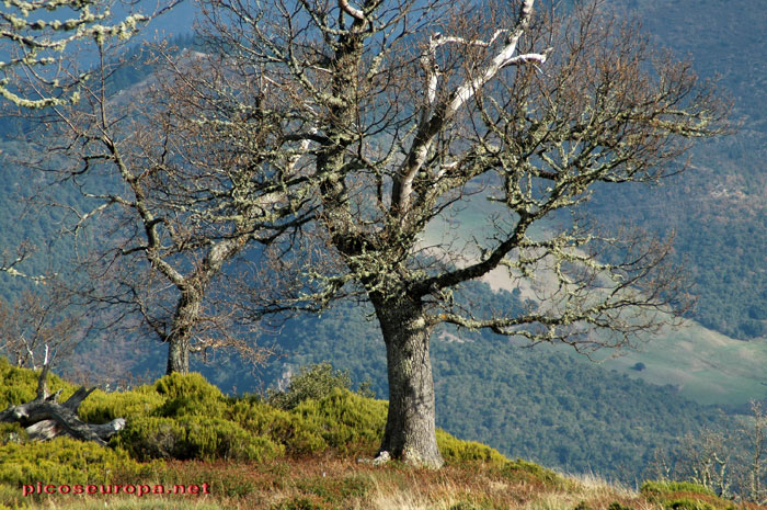 Foto: Cruz de Viorna, Picos de Europa, Cantabria