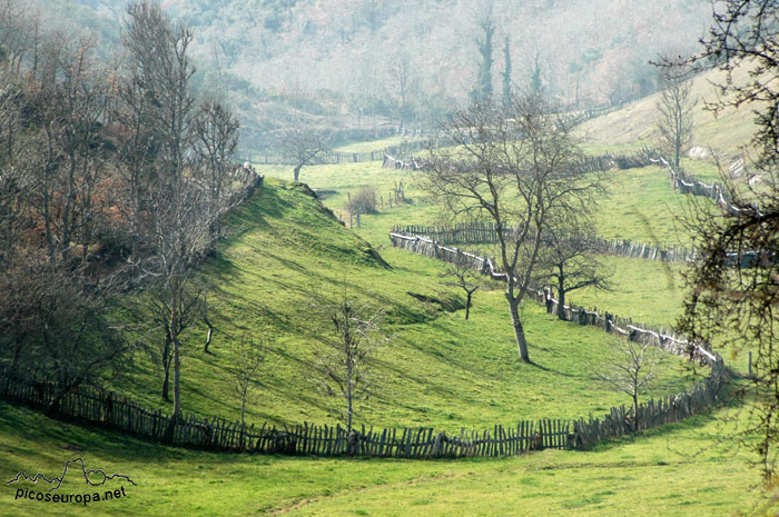 Foto: Los alrededores del pueblo de Maredes, Picos de Europa, Cantabria