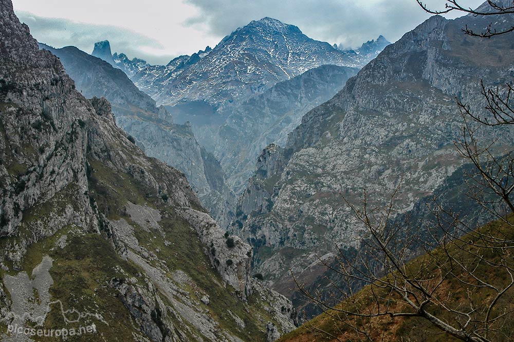 Pico de Albo desde el barrio de Vanu en Arenas de Cabrales de Cabrales, Concejo de Cabrales, Picos de Europa