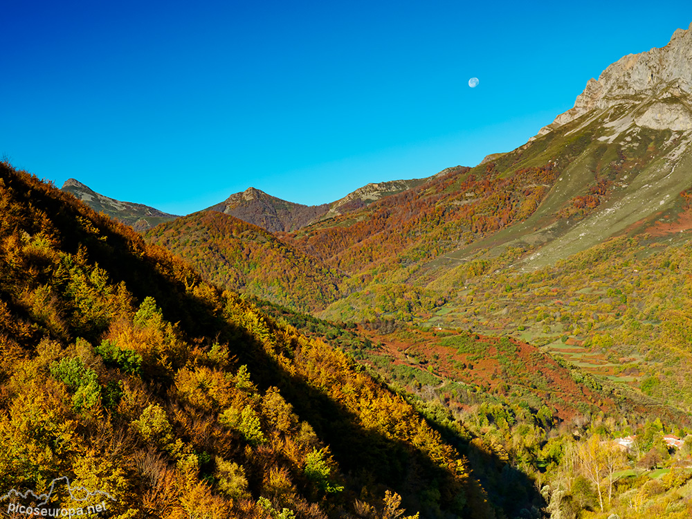 Foto: Restos del Otoño en el Puerto de Pandetrave, Valdeón, León, Picos de Europa.