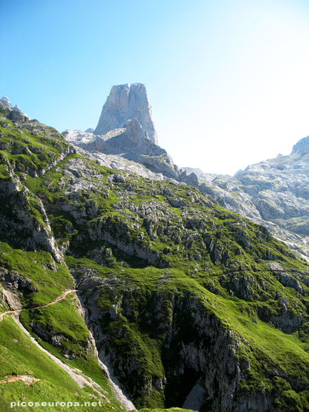 ruta del naranjo de bulnes